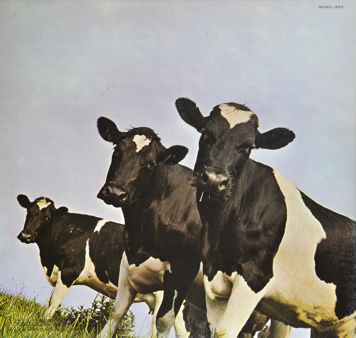 High Resolution Photo #2 PINK FLOYD Atom Heart Canada CA3 